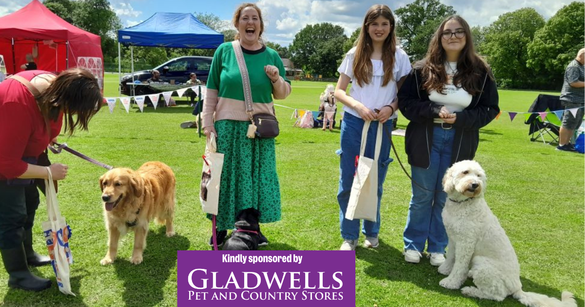 Stowmarket Fun Dog Show