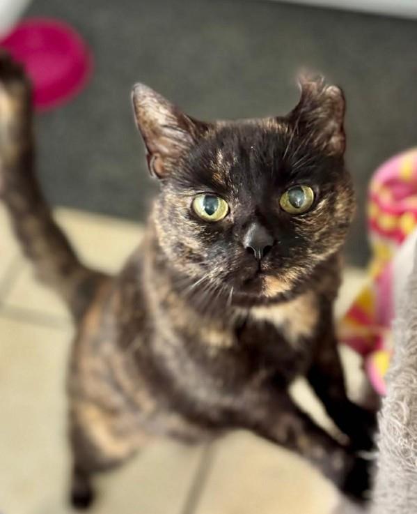 Mia