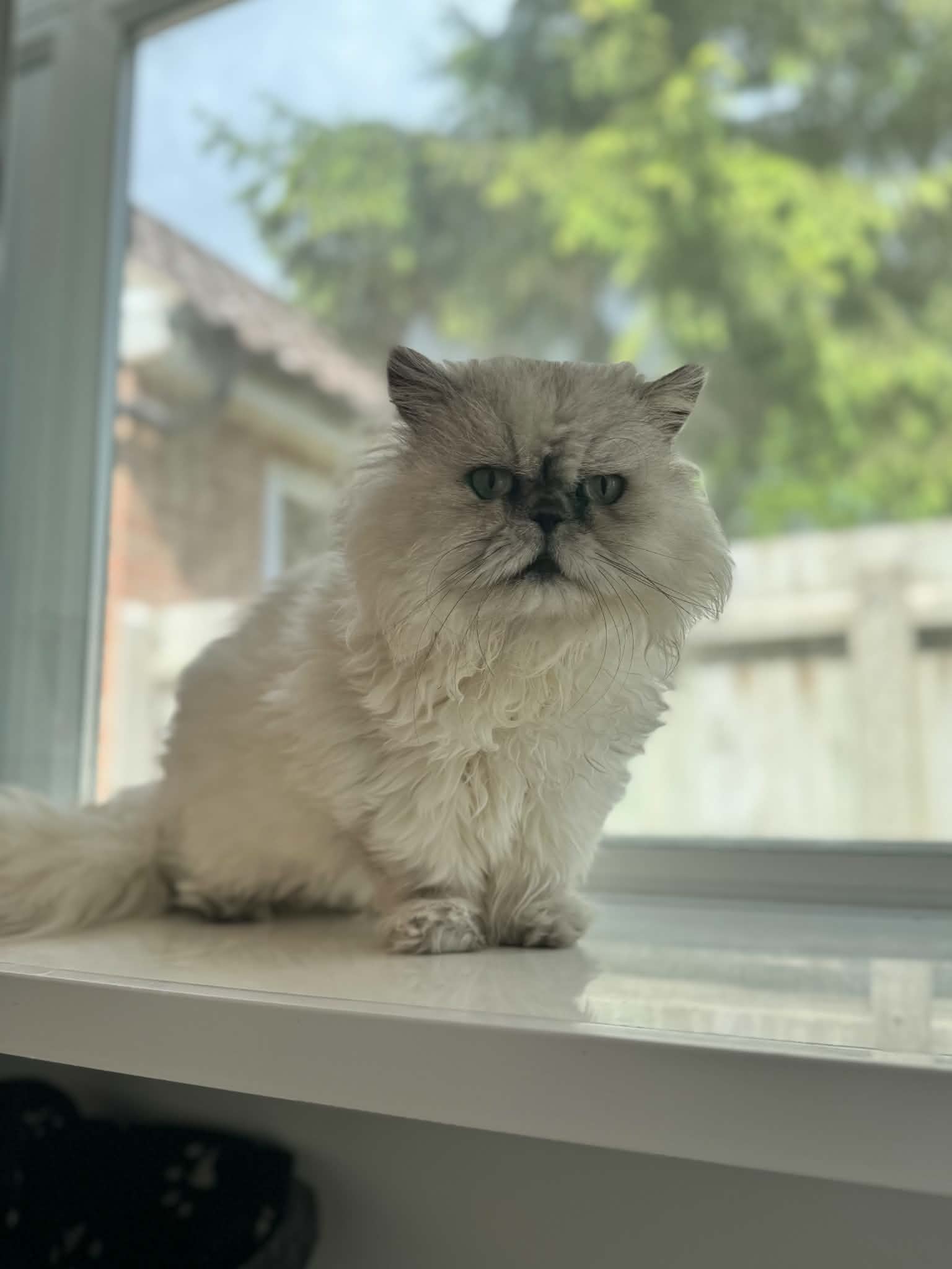 Bailey