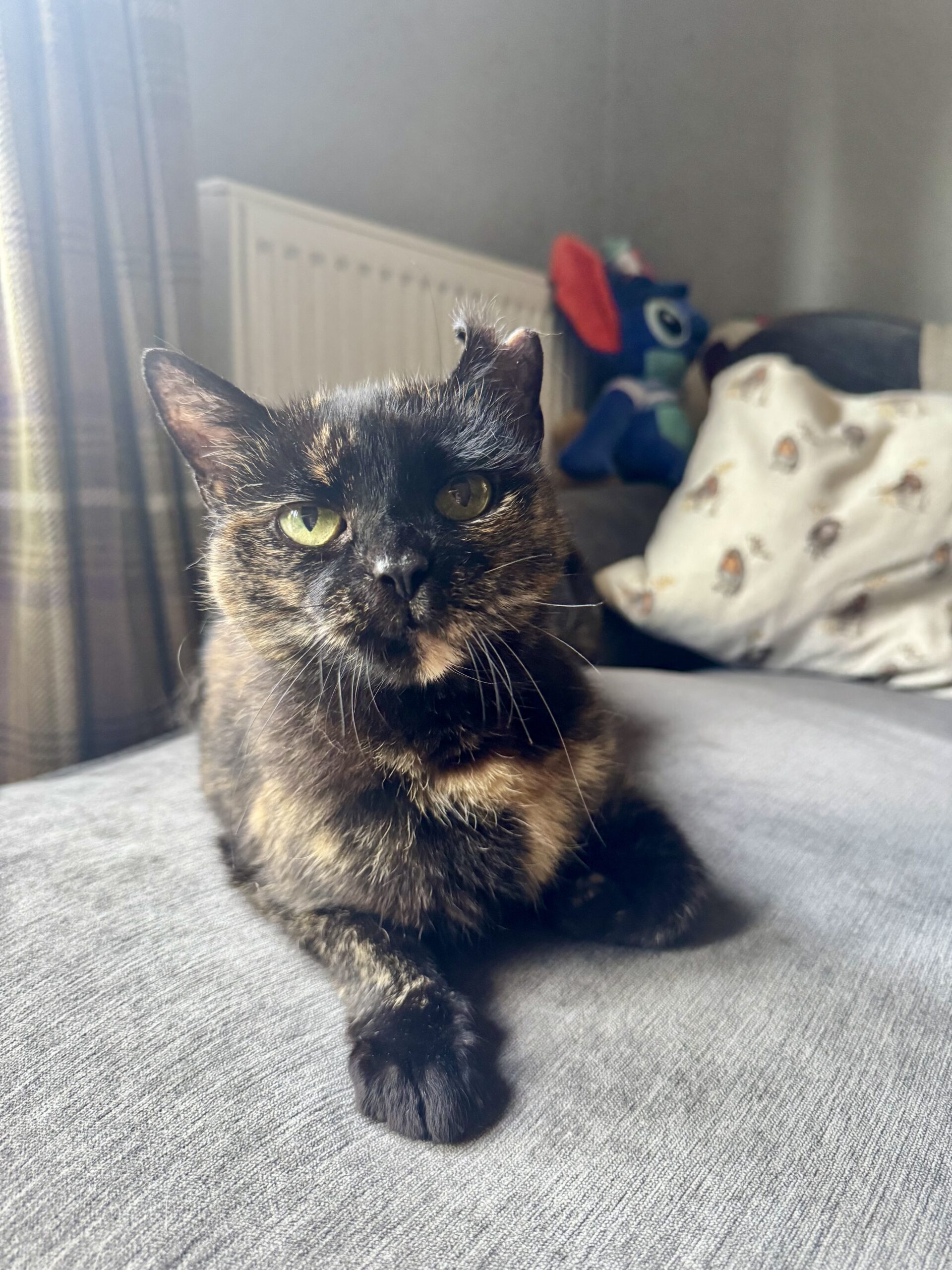Mia