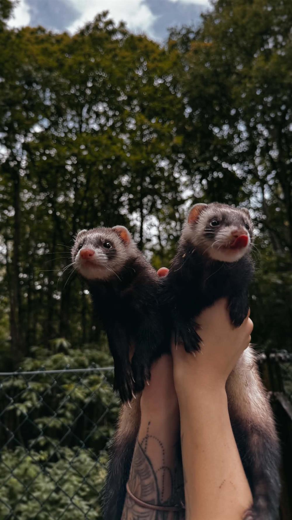 Frieda & Floss